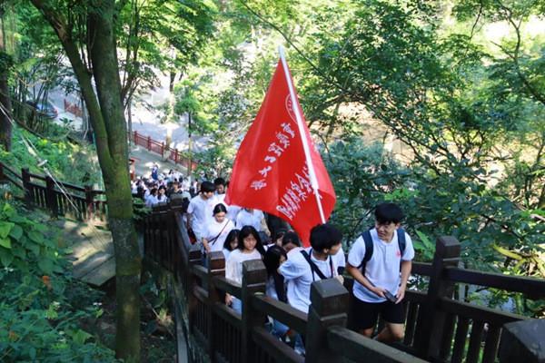 玲子有多爱阿宝，一个酒杯尽显爱意，《繁花》中的恋爱脑代表